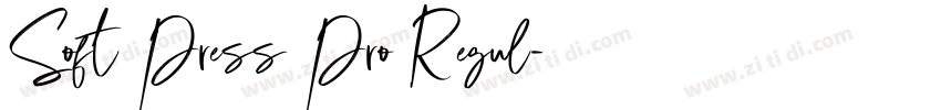 Soft Press Pro Regul字体转换 Soft Press Pro Regul字体转换